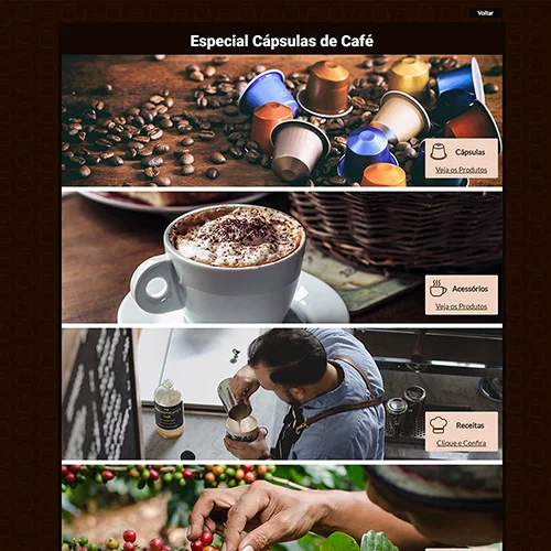 Exemplo de interface web profissional sênior